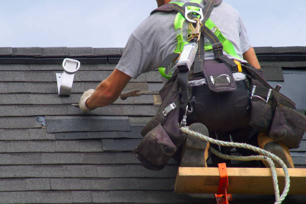 Best Gutter Installation and Roofing  in Round Lake Park, IL